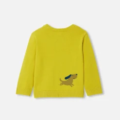Jacadi Pull bébé garçon Intarsia fantaisie - CUMIN Clearance