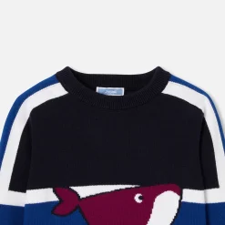 Jacadi Pull enfant garçon - MARINE/BLEU Online